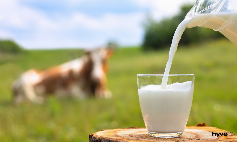 Alergie na mléčnou bílkovinu z kravského mléka.