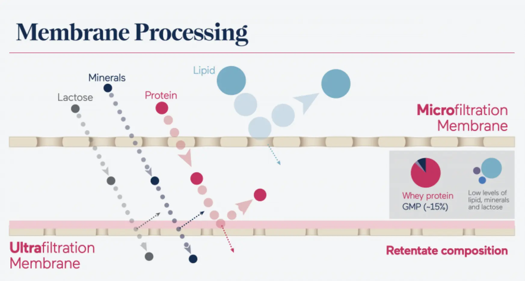 Schéma procesu mikrofiltrace syrovátky během procesu výroby syrovátkového proteinu.